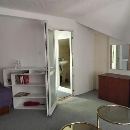 Guest house Tolem *
