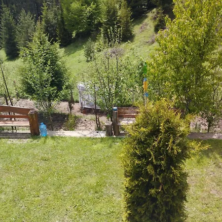 Guest house Tolem Borino