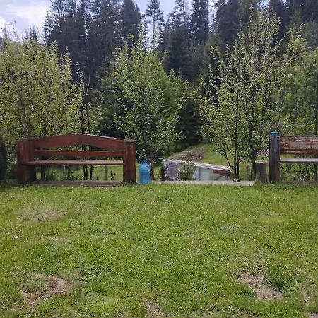 Tolem Vendégház Borino