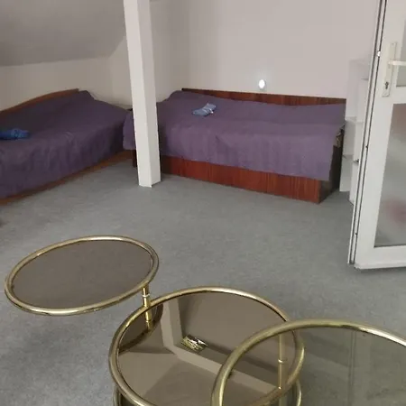 Tolem Guest house Borino